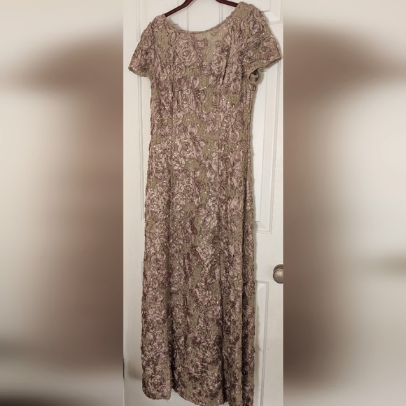 Alex Evenings Gorgeous Lace A-Line Gown - Picture 4 of 14